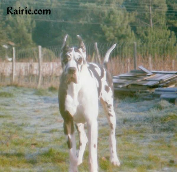 Fair Play des Terres de la Rairie