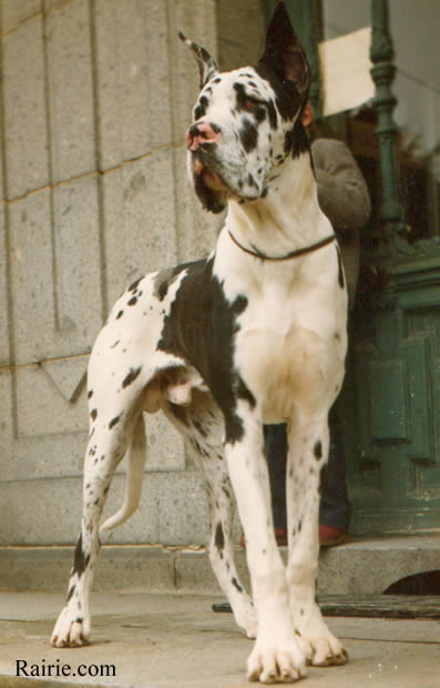 CH FR 1982 Rude de la Templerie