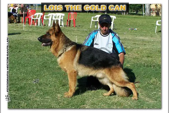 Lois The Gold Can