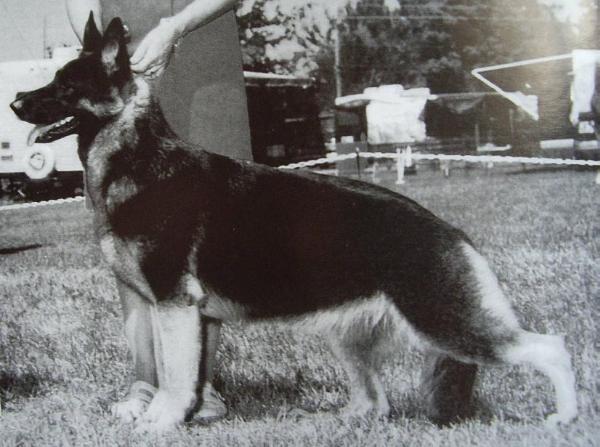 CH (US) Fircrest My Oh My Mariah