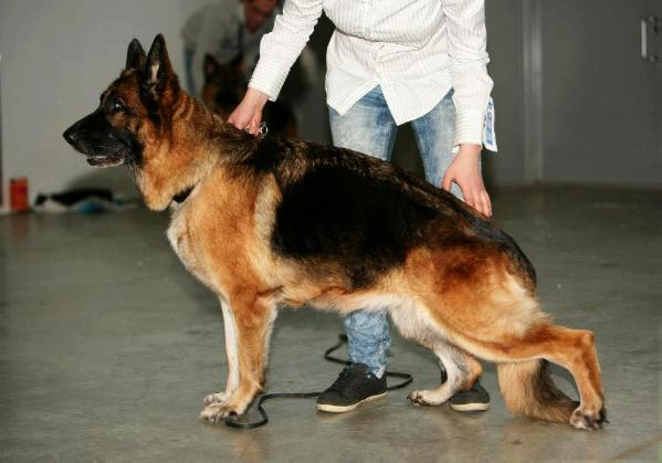 FIN.CH,SIEGERIN18-24,V Bar-Waxan Disney