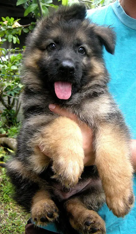 Kimbo of AFC