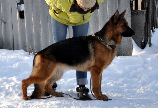 Chanel Gipfel des Ruhmes