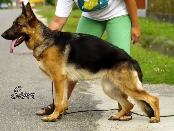 Extra Von Blasius-haus