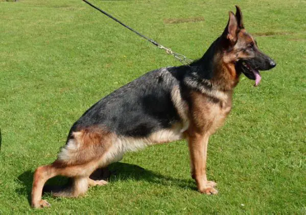 V Hexa zur Worringer Rheinaue