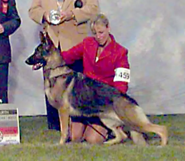 CH. (CAN), CAN FV Cedar Canyon Marcy Clayfield