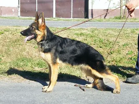 Barbi vom Haus Khaty