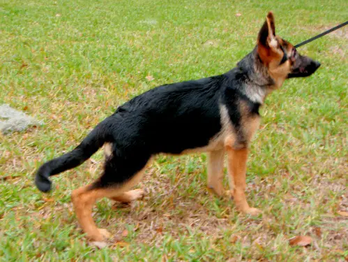 Brylee von H.Taboada