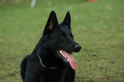 G Day von der Teufelskehle