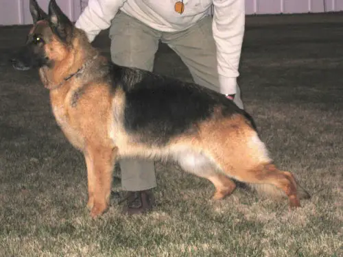 SG1 Kaya Del Cono Sur