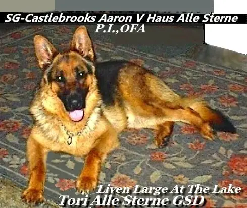 SG-3 Castlebrooks Aaron