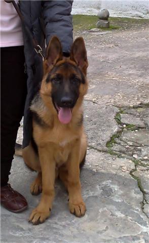 Jeck Vall Du Paço