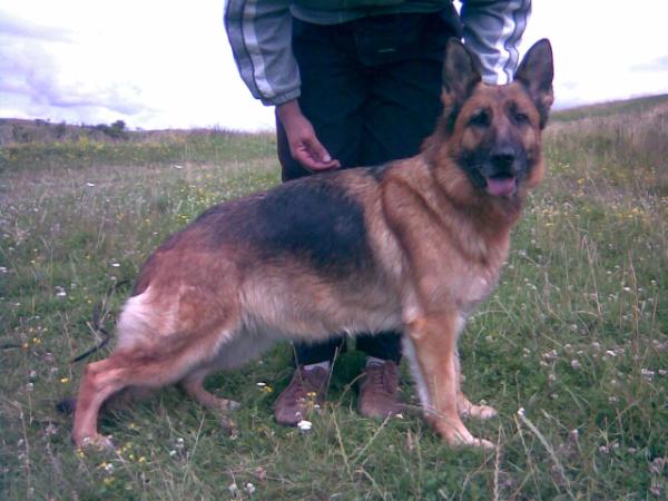 V Blanka vom Haus Selia