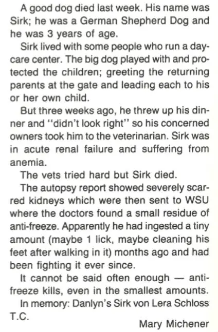 Danlyn's Sirk von Lera Schloss