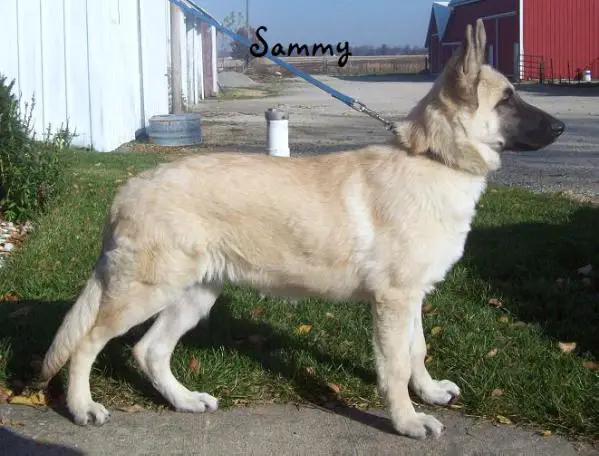 Brite Samatha Christine