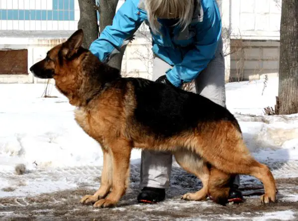 V Strong and Soft Svitti