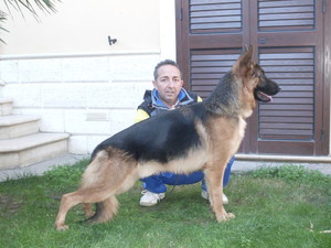 Hannibal Del Monte Saraceno