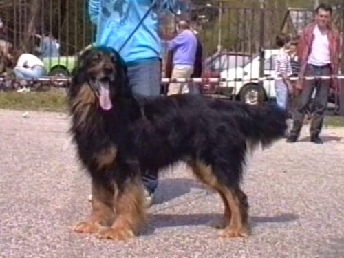 CH-CSFR Charek von der Taubenbrücke