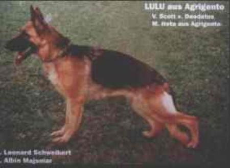 V Lulu aus Agrigento