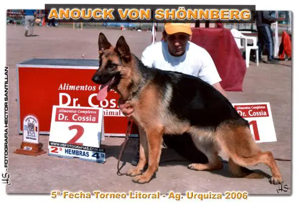 Anouck Von Schönnberg