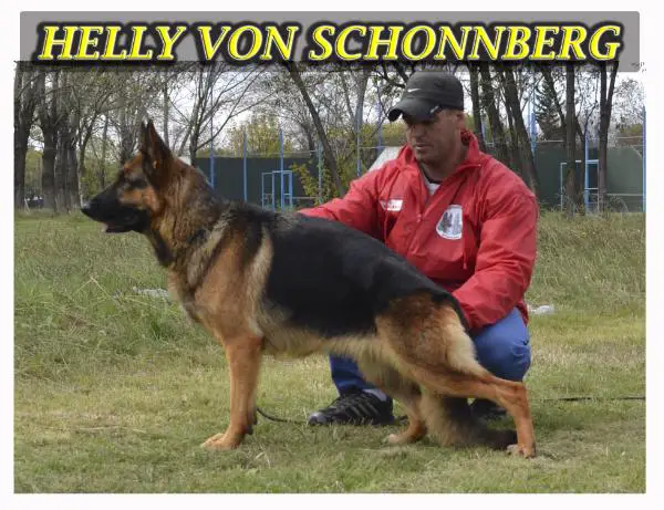 Helly Von Schönnberg