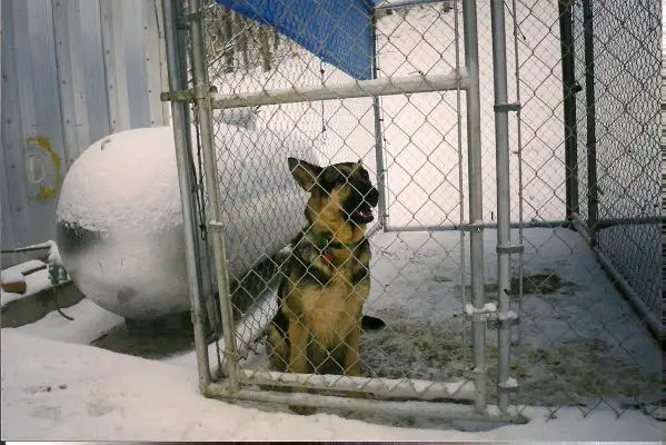 Basenbacks Rachael Astra