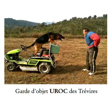 Uroc des Trévires