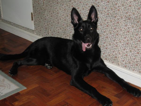 Cassandra von Schraderhaus