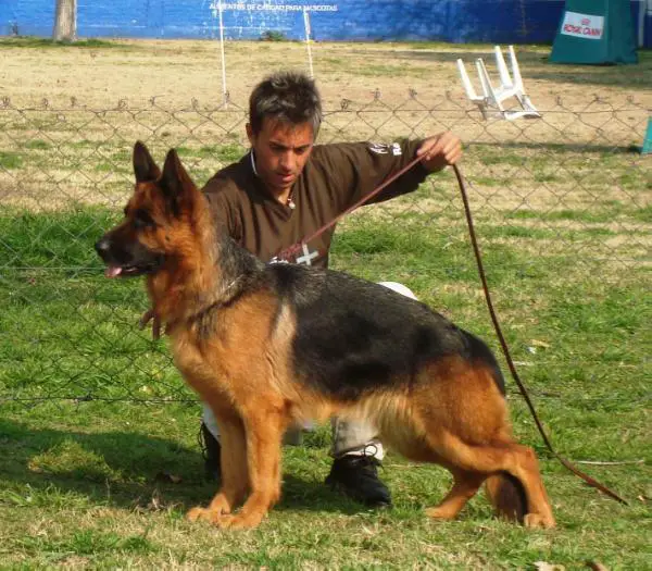 V9 Arga Von Giangeor