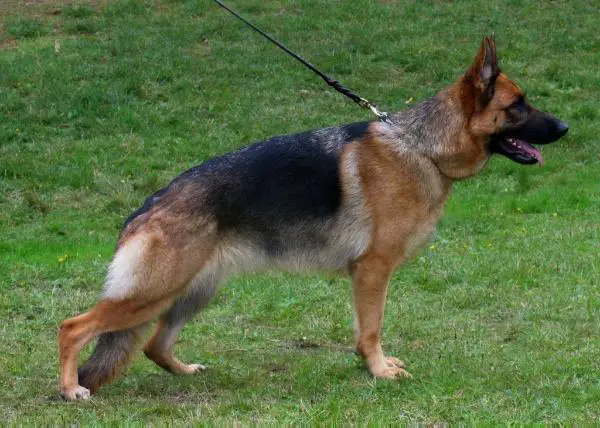 Donna van de Albartshoeve