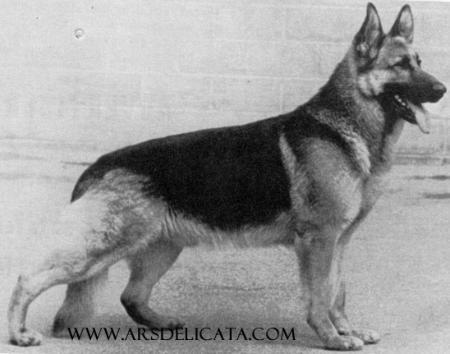 CH (US) Prunk vom Schloß Oeding