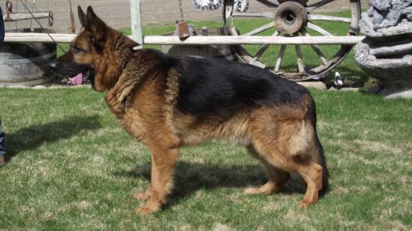 V Yasko von der Sandsteinküste