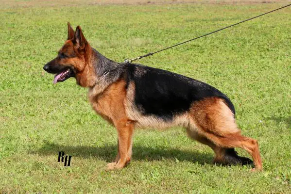 V Akselbrunnen Prada