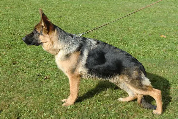 Yesterday vom Feuermelder