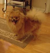 Lil Darlins Maggie