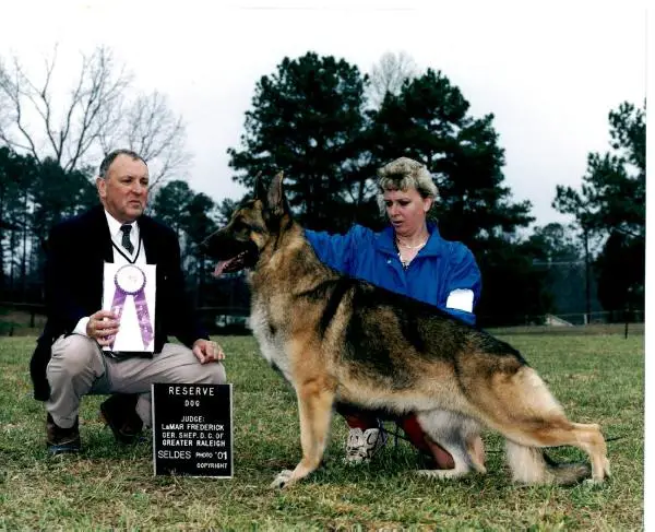 CH(US) Sonnenbachtal's Dream Chaser
