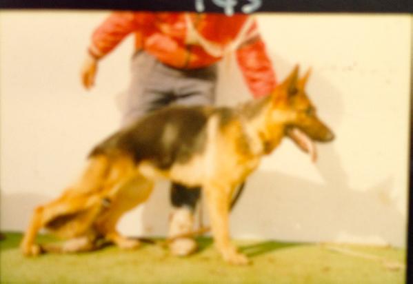 Volkerson Utina