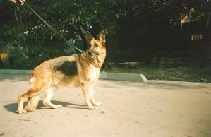 CH RUS Aganera Prima Donna