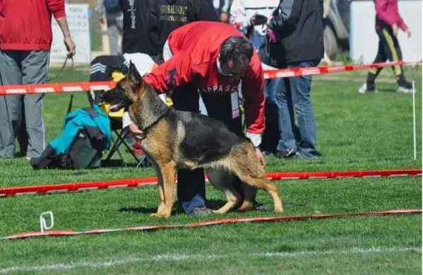 SG1 Karmen de El Cerrolen