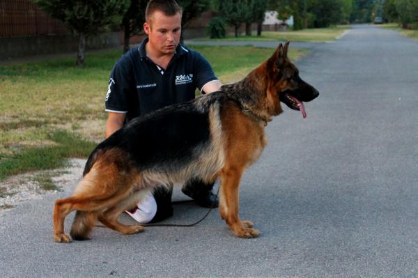 Bonnie von Bellissimo