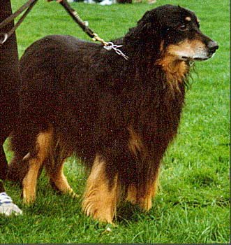 Hova Bonde's Arnoldi