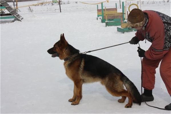 JCHRUS, CHRUS, CHRKF Frai s Sajanskih Gor