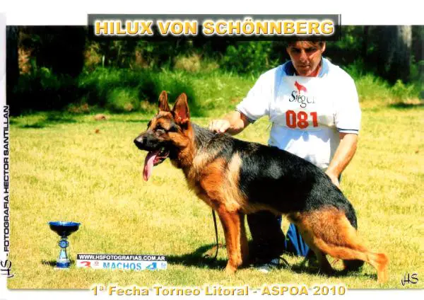 Hilux Von Schönnberg