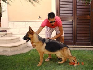 Quina (del Monte Saraceno)(2006)