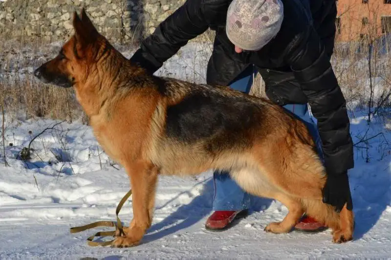 R.CAC Grada z Sribnyh Ozer