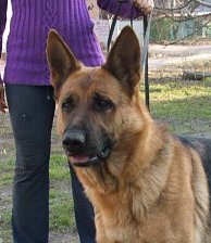 CH.RU,РКФ Holiday s Otradnogo