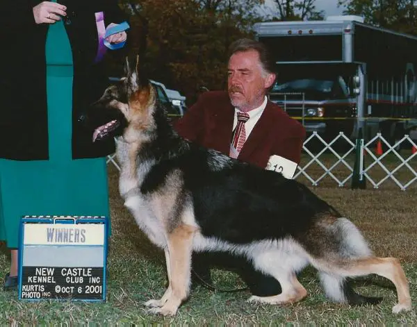 CH (US) Laurel's Calico Bear V Jada