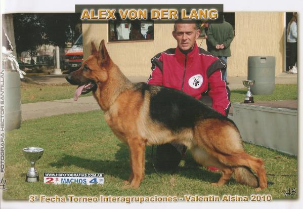 Alex Von Der Lang