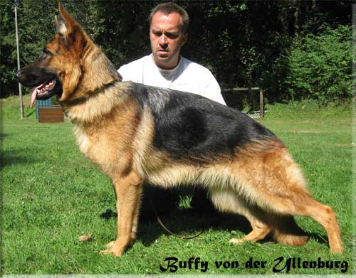 V Buffy von der Ullenburg