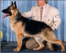 CH Aftica's April Wine Klassic